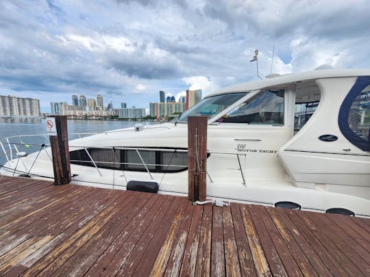 Yacht Sea Ray de 43 pieds à Miami/Fort Lauderdale