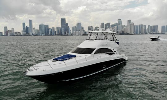 62 Aluguel de iates a motor Sea Ray Sedan Bridge em Miami, Flórida