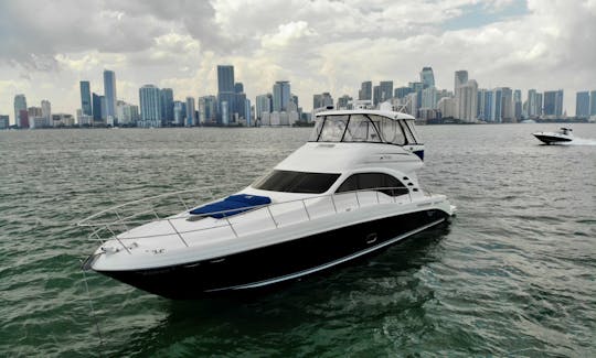 62 Sea Ray Sedan Bridge Motor Yacht Rental in Miami, Florida