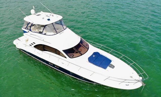 62 Sea Ray Sedan Bridge Motor Yacht Rental in Miami, Florida