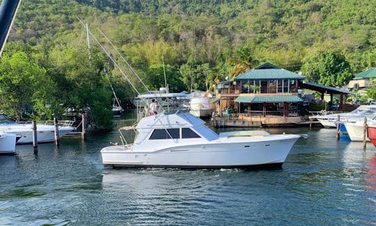 Hatteras 46' Sport Cruiser for Charter Daily Trips