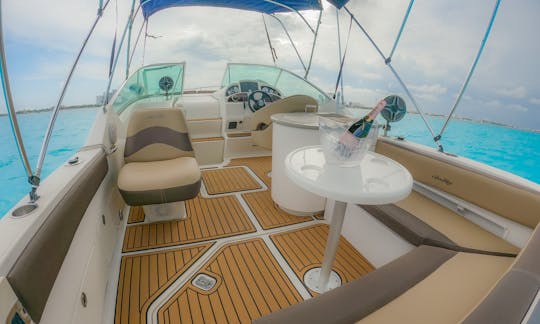 Lindo livro Sea Ray Sundancer de 29 pés, 6 horas de margaritas grátis