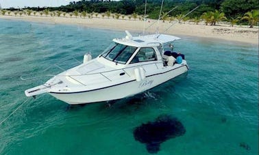 37’ Boston Whaler Motor Yacht Rental in Cozumel, Quintana Roo