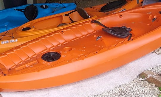 Stored kayaks