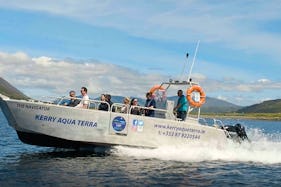 5 Star Tour Boat on the Ring of Kerry & Skellig Coast