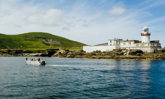 Valentia Island Boat Tours | Skellig Michael Boat Tours | Wildlife Eco Cruises