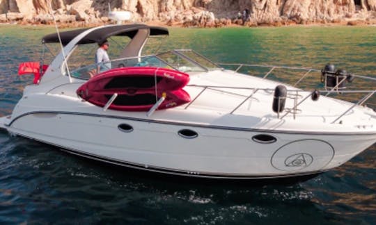 38ft Maxum Yacht in Cabo San Lucas