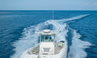 320 World Cat for Charter en Montego Bay