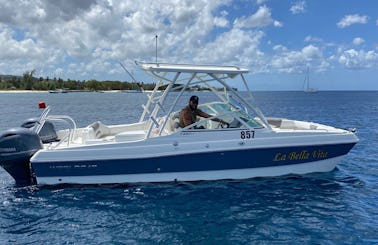 23ft World Cat for rent in Spieghtstown Barbados!!