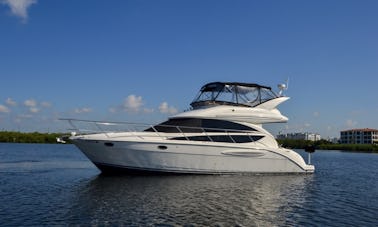 Discover  Miami natural beauties on this amazing Meridian 40” Yacht
