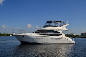 Discover  Miami natural beauties on this amazing Meridian 40” Yacht