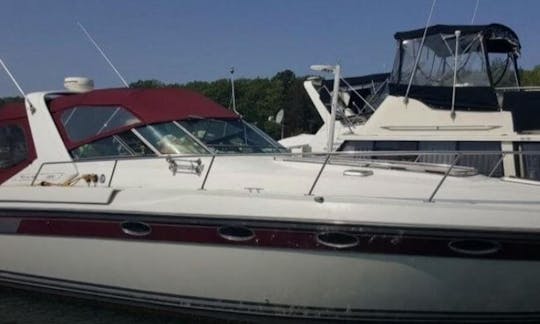 Regal Commodore 42ft Cuddy Cabin Charter for 12 Person!