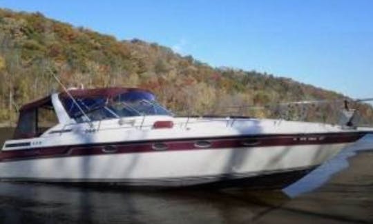 Regal Commodore 42ft Cuddy Cabin Charter for 12 Person!