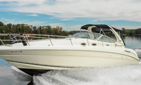 Sea Ray 35" motor yacth 