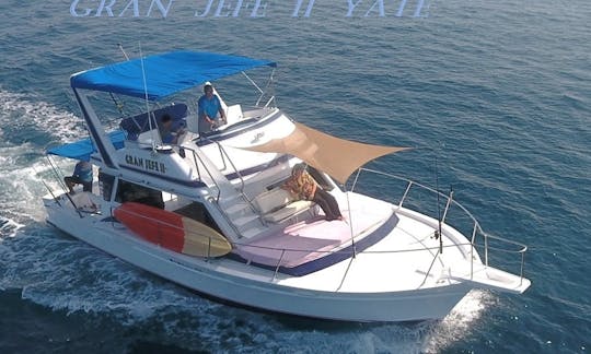 Charter  42' Italian Pride (water toys & certified Whale watcher) bilingual Crew