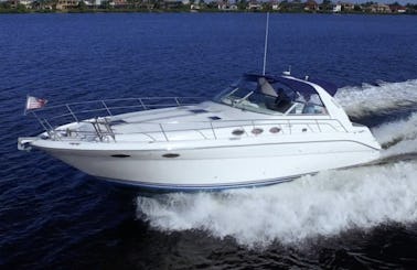 Gorgeous 40FT Sea Ray - Discounted Rates thru Early June