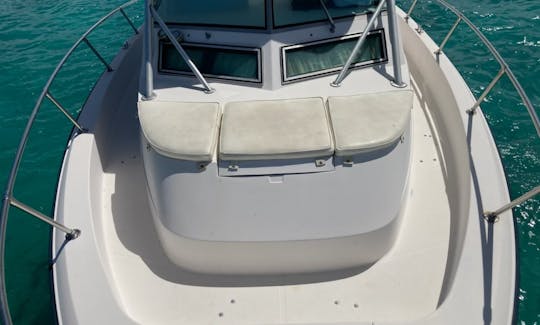 Custom Daily Tours Aboard 30’ Grady White in Fajardo