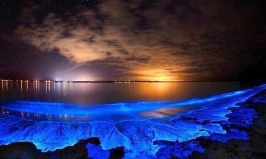 Custom Private Bioluminescence Kayak Tour in Fajardo