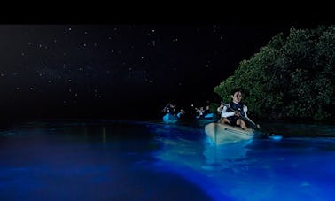 Excursão privada personalizada de caiaque de bioluminescência em Fajardo