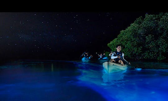 Custom Private Bioluminescence Kayak Tour in Fajardo
