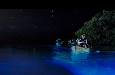 Custom Private Bioluminescence Kayak Tour in Fajardo