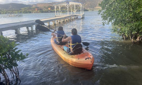 Custom Private Bioluminescence Kayak Tour in Fajardo