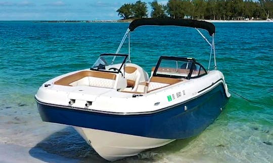Beautiful Bayliner DX2200 | Perfect for a day exploring AMI!