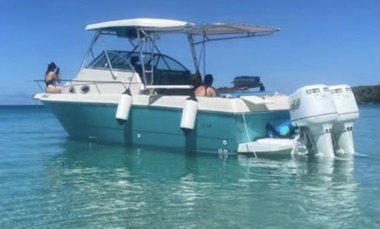 26’ Proline Center Console in Fajardo