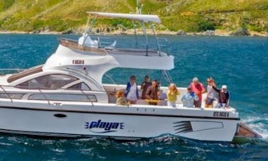 Yacht Hysucat de 48 pieds à louer ! Navire certifié SAMSA