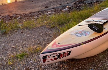 Paddleboard for rent in Penobscot, Maine