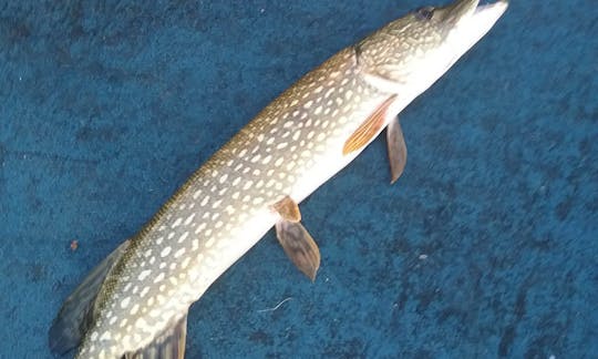 Kayak de pêche à vie de 10 pieds à Middlebury