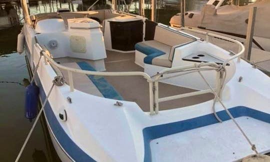 Lake Havasu: 26' Pontoon/Deckboat for rent! Room for 13