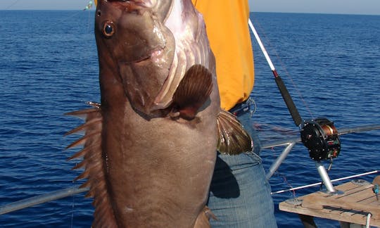 Catch Big Fish aboard the 40' Sportfisher Yacht - Max. 6 People from Llucmajor