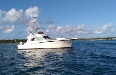 The Islander, Nassau, 48' Hatteras