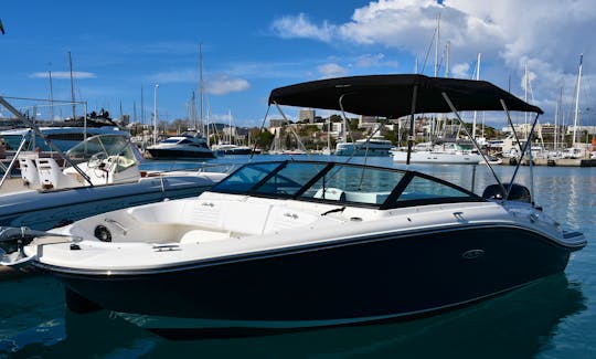 Enjoy the French Riviera! Rent the 2024 Sea Ray 190 Sport Boat - Get 1 Hour Free