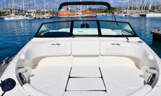 Explore the bay of Cannes in style! Rent a Sea Ray 190 Sport 2024 - 1 hour FREE!