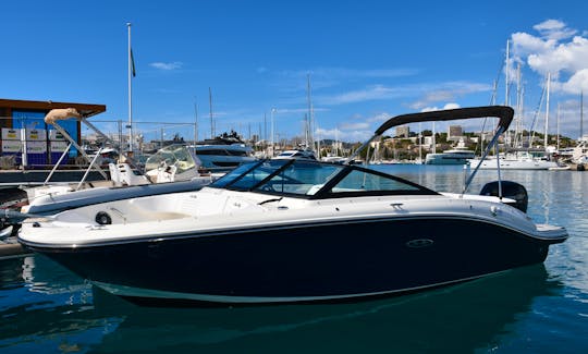 Explore the bay of Cannes in style! Rent a Sea Ray 190 Sport 2024 - 1 hour FREE!