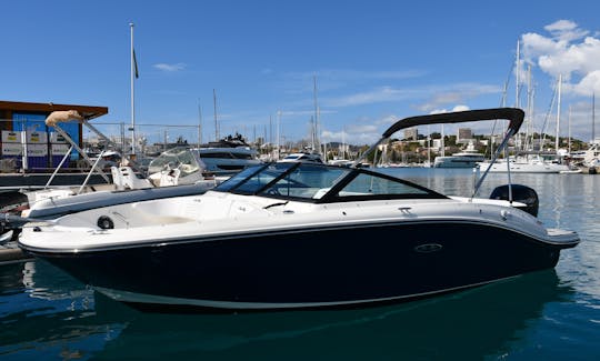 Rent a Sea Ray 190 Sport 2024 and Explore the bay of Cannes in style!