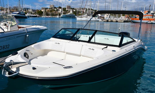Sea Ray 190 Sport 2023 in Cannes Port Pierre Canto
