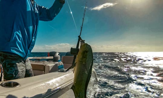 Fishing Charter in Carolina, Puerto Rico