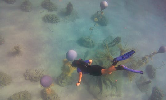 Snorkeling on MUSAN (underwater museum of Ayia Napa)