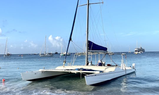 44ft Sailing Catamaran Charter in Bridgetown, Saint Michael