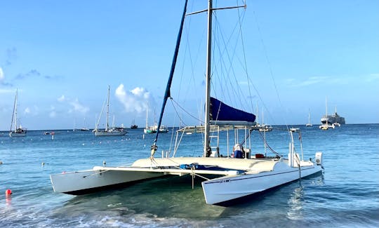 44ft Sailing Catamaran Charter in Bridgetown, Saint Michael