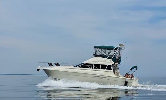 Enjoy the sights of Colonial Beach, VA ! Come boat with us!