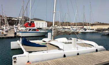 Catamaran d'observation des baleines 100 % électrique (expérience privée)