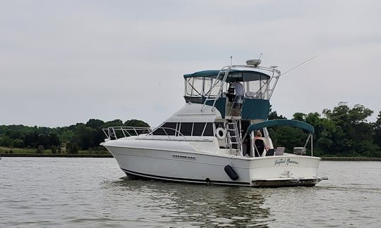 Enjoy the sights of Colonial Beach, VA ! Come boat with us!