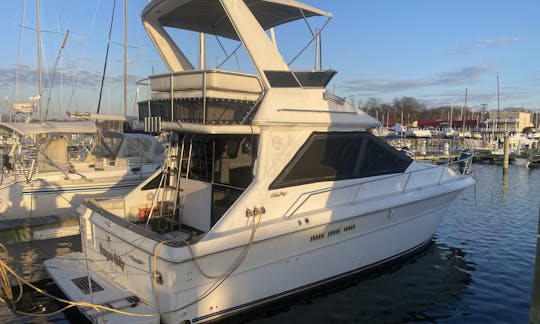 Family Yacht Sea Ray 340 in Virginia Beach area. Poquoson Va