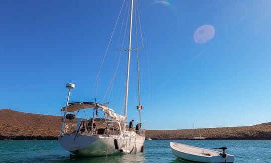 Live an amazing experience in a classic sailboat!