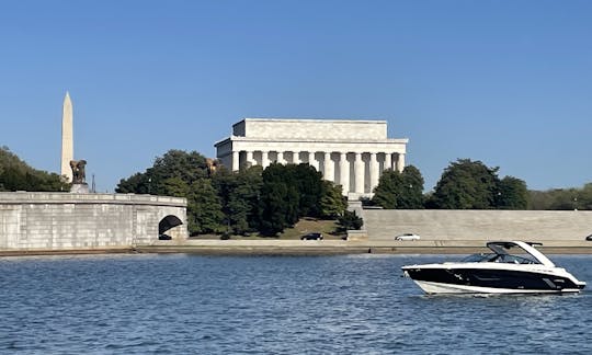 💎🛥 豪華クルーザースポーツヨット ‼️🍹☀️