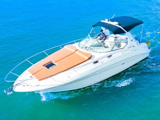 36ft Sundancer White Yacht for awesome adventures in Miami🌊🌊